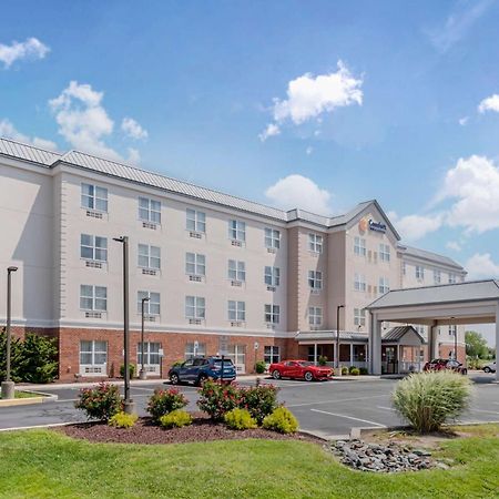 Comfort Inn & Suites Dover Exterior foto